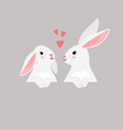 couple of funny bunny pets with hearts cartoon vector image