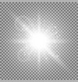 light circle with stardust white color vector image