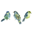 watercolor bird collection for your design vector image