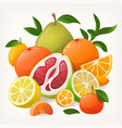 pile of different citrus fruit vector image vector image