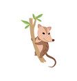 cute opossum wild animal on tree branch vector image vector image