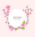sakura blossom peach cherry flowers pink floral vector image