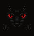 3d realistic red cats eye of a black cat vector image