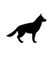 dog german shepherd silhouette vector image