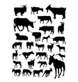 goat cow donkey animal detail silhouettes vector image