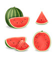 realistic detailed 3d sliced ripe red watermelon vector image vector image
