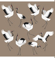 red-crowned cranes set vector image vector image