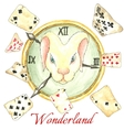white rabbit on the clock and old playing cards vector image vector image