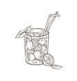 hand drawn cocktail vector image