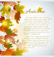 autumn faded leaves concept vector image vector image