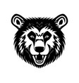 bear head black and white icon vector image vector image