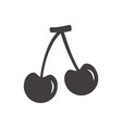 flat cherries isolated icon vector image