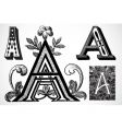 vintage traced woodcut vector image vector image