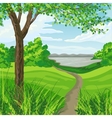 beautiful summer landscape vector image