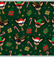 chihuahua dogs in santa hat elf vector image vector image