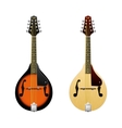 realistic mandolin isolated on white vector image