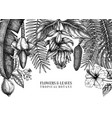 tropical plants frame design exotic flowers vector image vector image