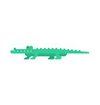crocodile cartoon alligator green croc reptile vector image