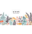 hand drawn autumn forest background with ferns vector image