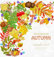 autumn leaf pattern for your design vector image