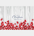 christmas holly berry on white wooden vector image vector image