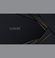 luxury modern dark background overlap layer vector image