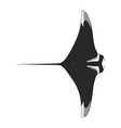 mobula birostris - giant oceanic manta ray vector image vector image