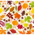 seamless pattern from autumn leaves vector image