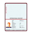 passport identification document vector image
