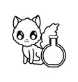 cute cat on white background vector image