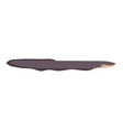 e electricus - electric eel - side view vector image vector image