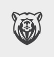 face bear vector image