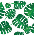 background seamless pattern of green monstera vector image
