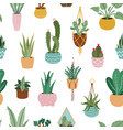 home plants pattern seamless flower potted plant vector image