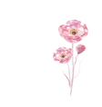 pink watercolor flower vector image