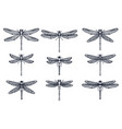 set of hand drawn stylized dragonflies outline vector image