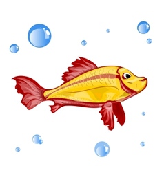 Funky fish Royalty Free Vector Image - VectorStock