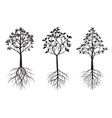 trees with leaves and roots outline vector image vector image