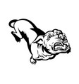 angry pit bull or pitbull barking retro black vector image