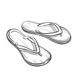 beach slippers sketch vector image vector image