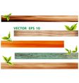 green leaves with wood vector image vector image