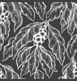 coffee tree branch seamless pattern vintage vector image vector image