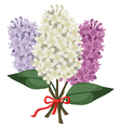 lilac bouquet vector image vector image
