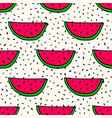 seamless pattern with handdrawn watermelon vector image