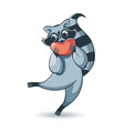 dancing raccoon holding a big red heart in his vector image