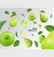 falling green apples and pears isolated vector image