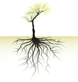 blooming tree with root vector image vector image