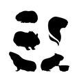 silhouettes of a guinea pig vector image