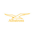 strong white sea bird albatross vector image
