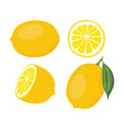lemon set vector image vector image